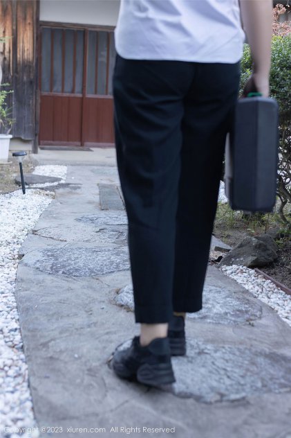 精灵宝可梦：结晶塔的帝王